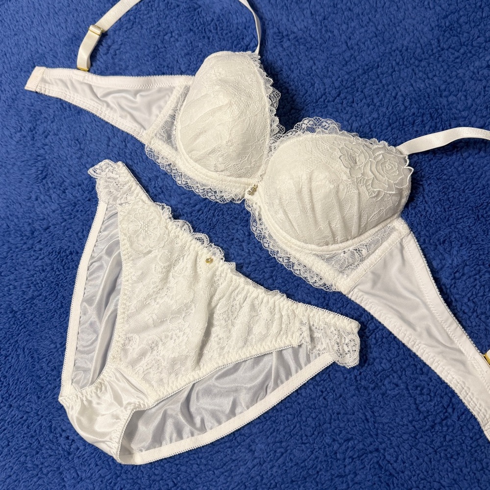 US-34B/JP-D75 Japanese Brand Floral Embroidery Push Up Bra And Panty Bikini Set - Picture 2 of 16